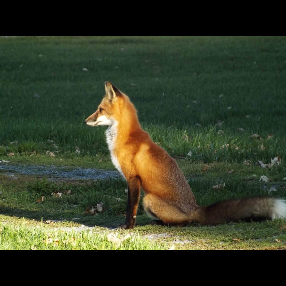 Meet your Posher, Linda